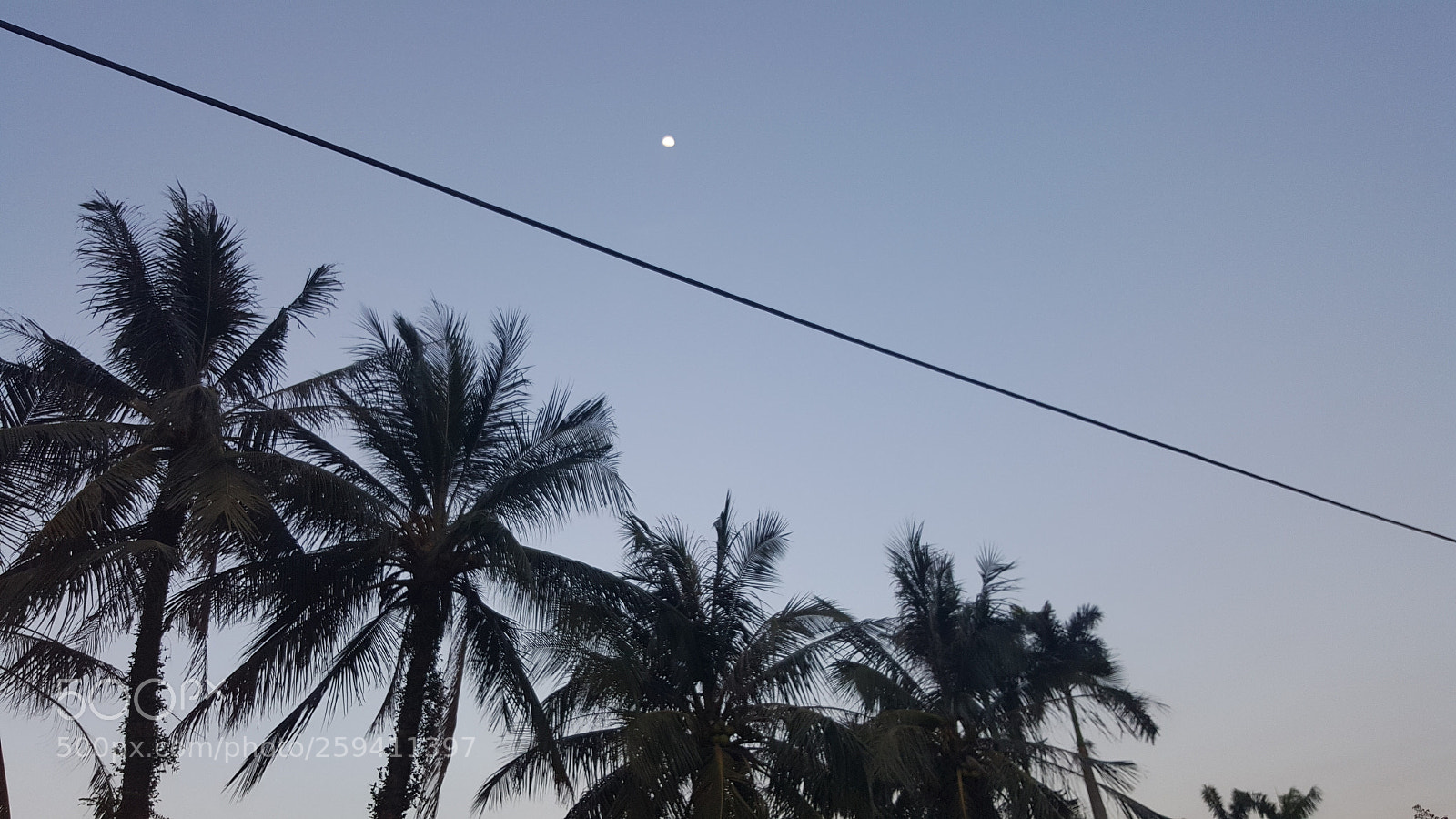 Samsung Galaxy Note5 sample photo. Untitled photography