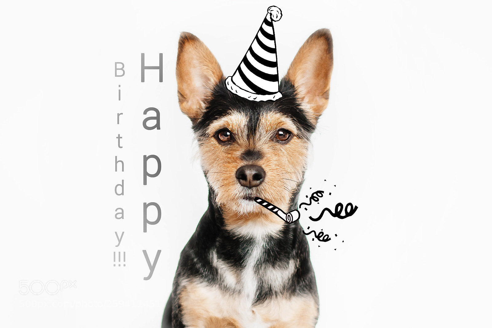 Nikon D7200 sample photo. Happy birthday, nela! photography