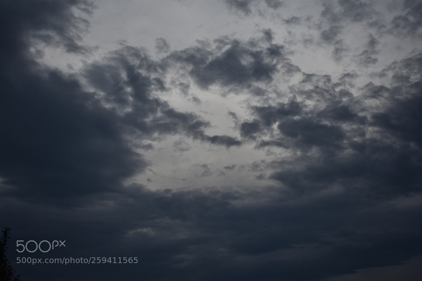 Nikon D3400 sample photo. Untitled photography