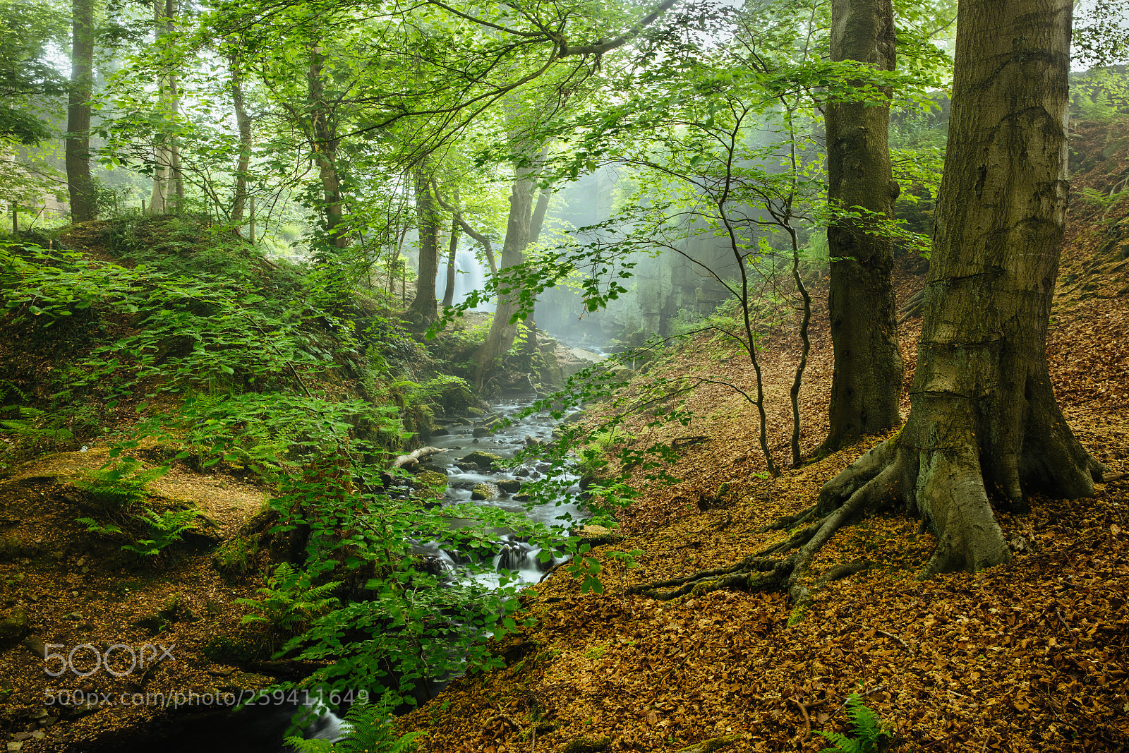 Canon EOS 5DS R sample photo. Spring falls ii photography
