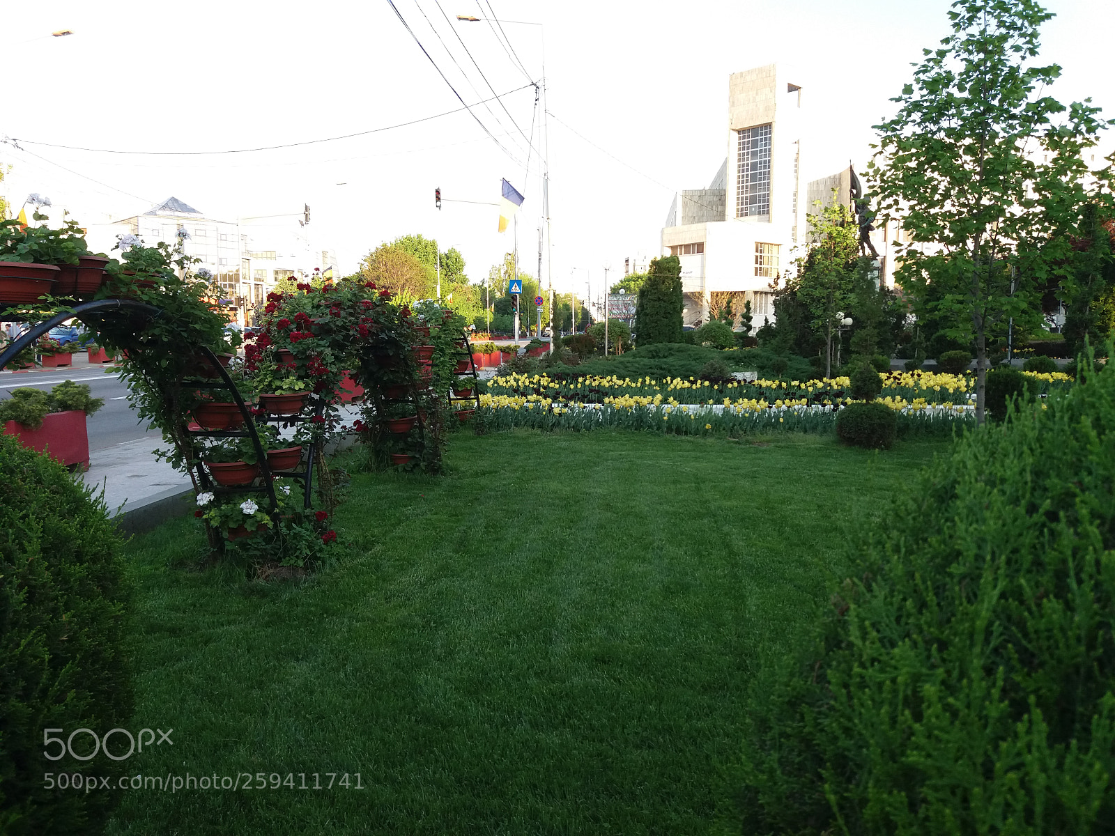 Samsung Galaxy J5(2016) sample photo. Garden in alexandria city photography