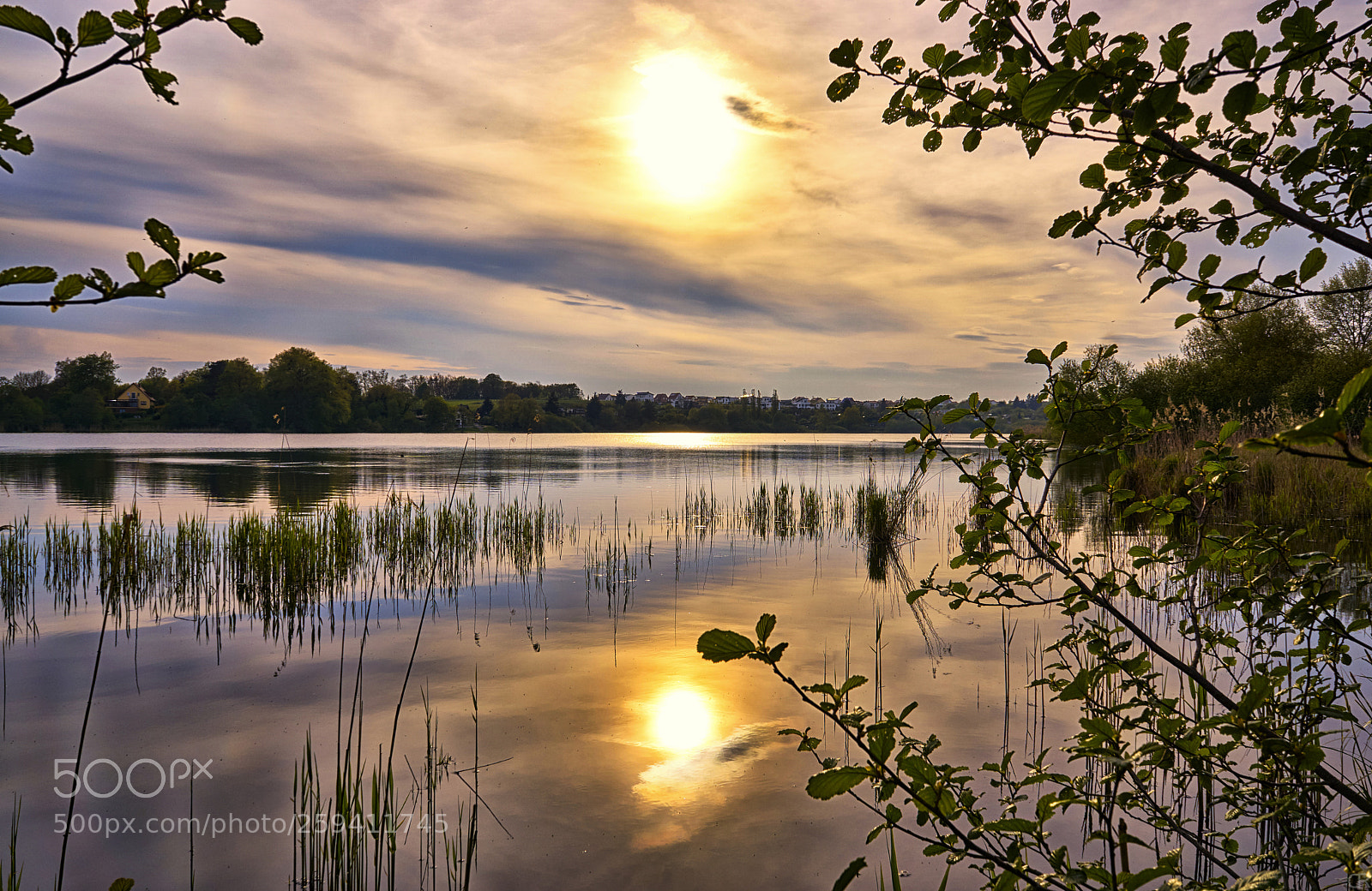 Sony a6000 sample photo. Sonne im ostorfer see photography