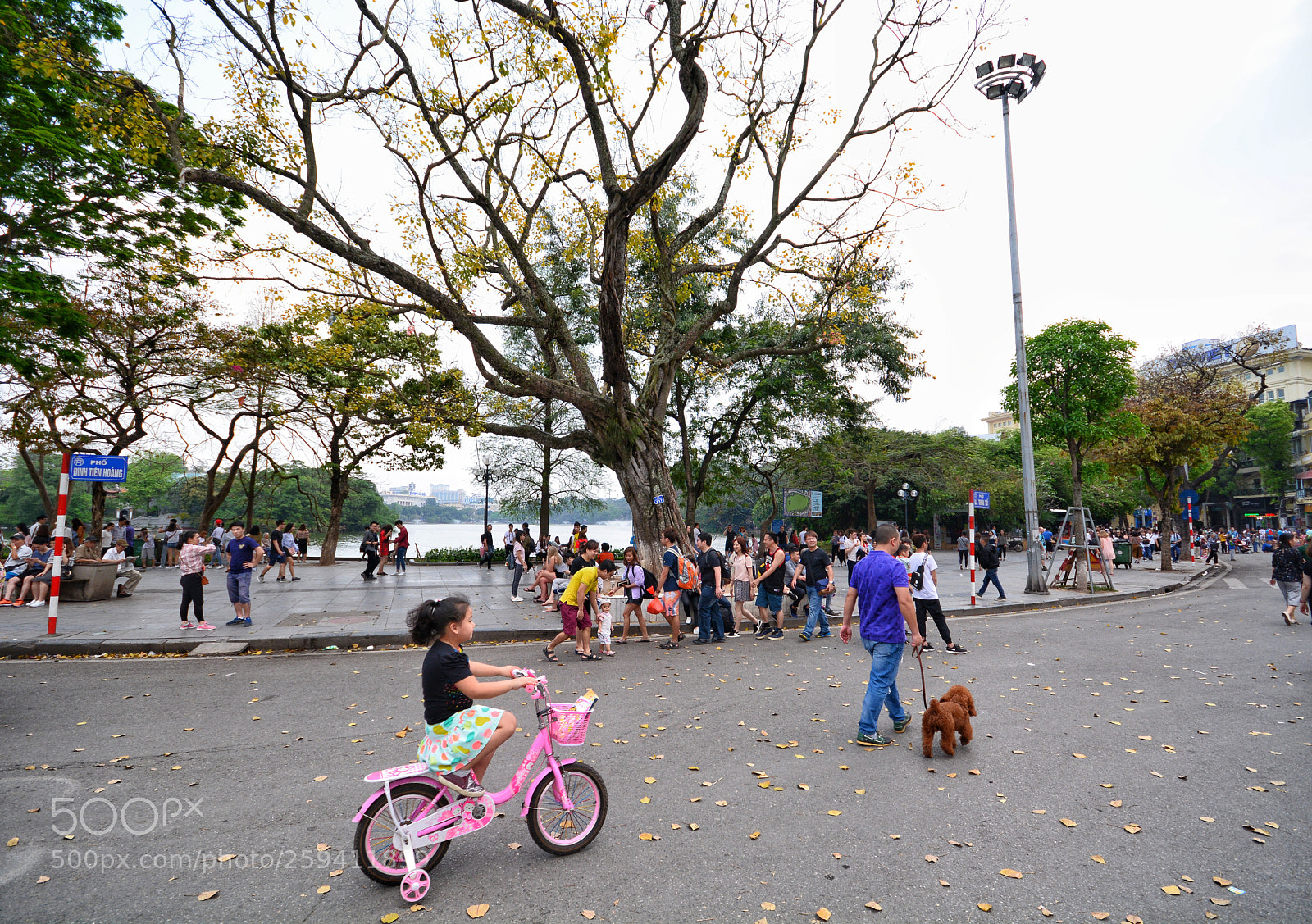 Nikon D7100 sample photo. Untitled photography
