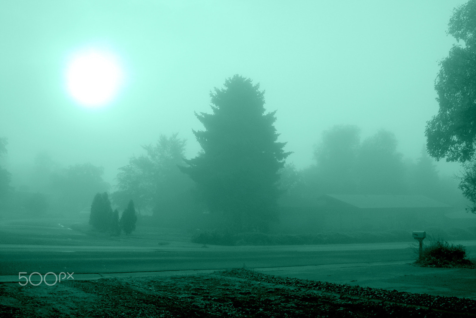 CASIO EX-Z1080 sample photo. Blue fog photography