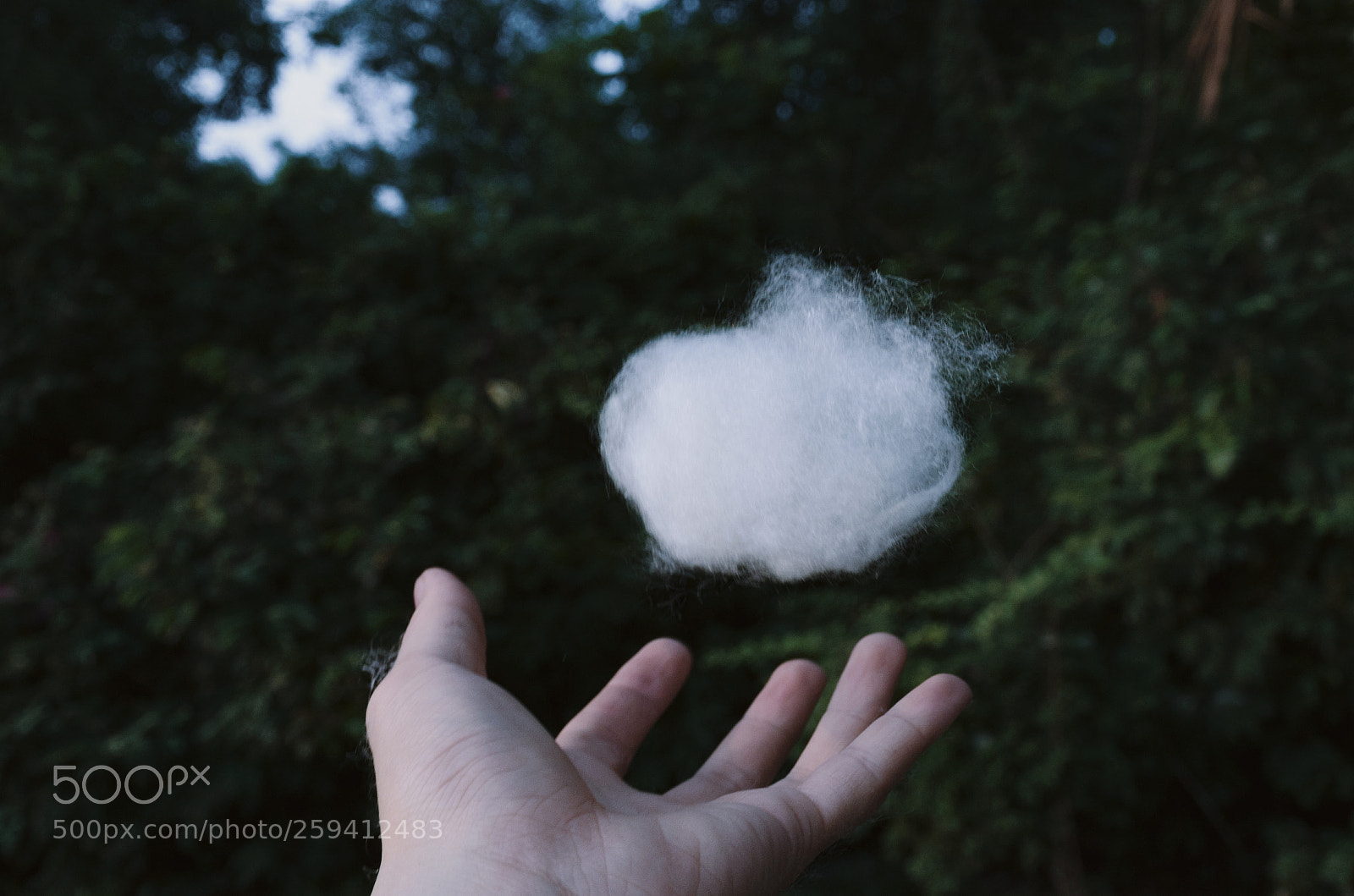Pentax K-5 sample photo. 5/18 photography