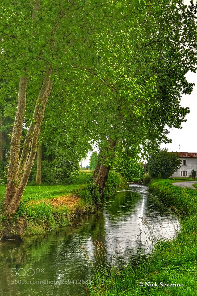 Sony a7R sample photo. Nosadello photography