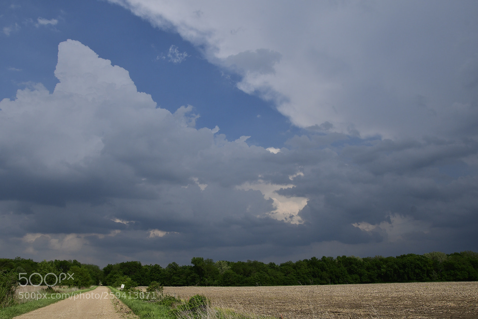 Nikon D500 sample photo. Storm is over  photography