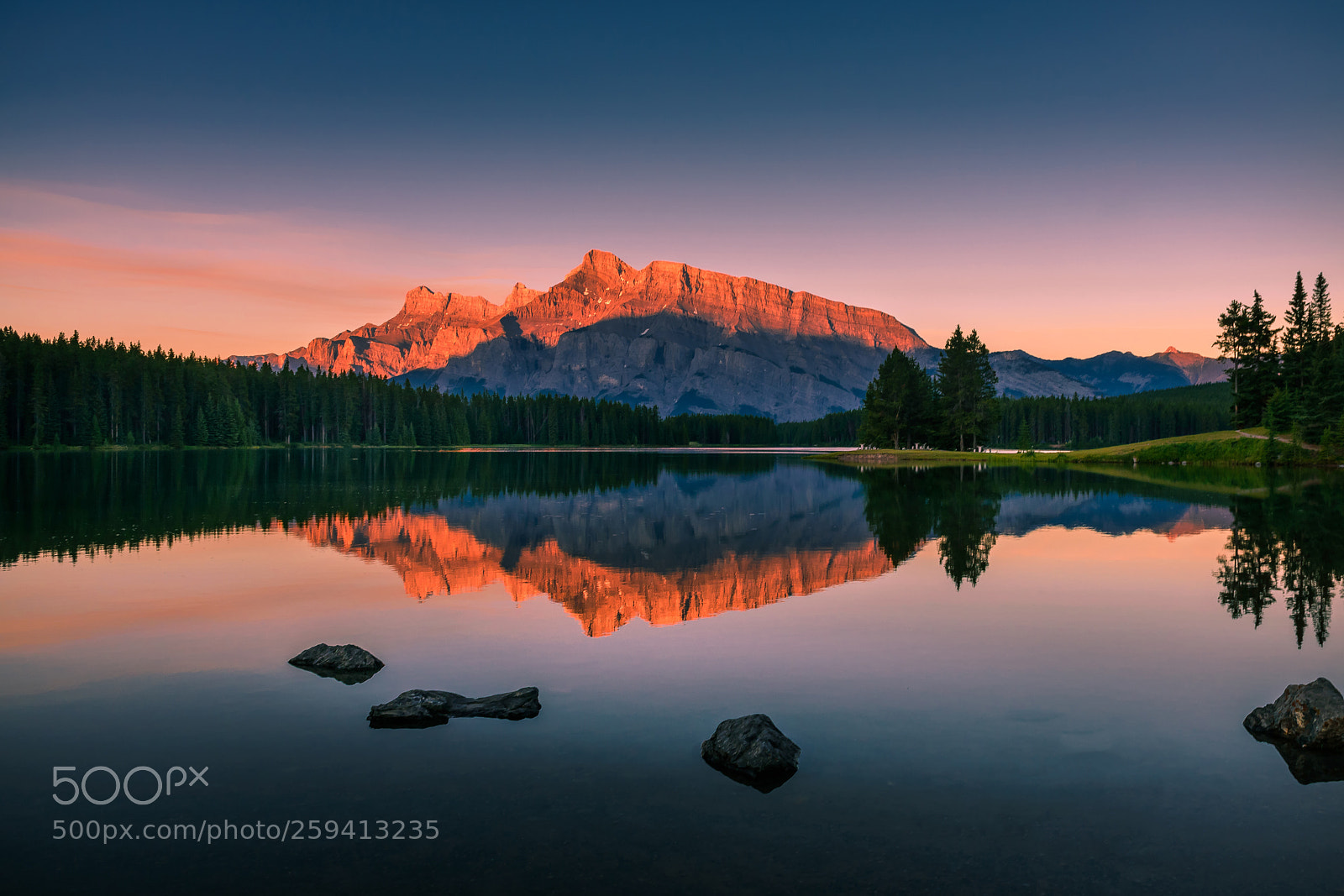Nikon D800 sample photo. Golden peaks at mt photography