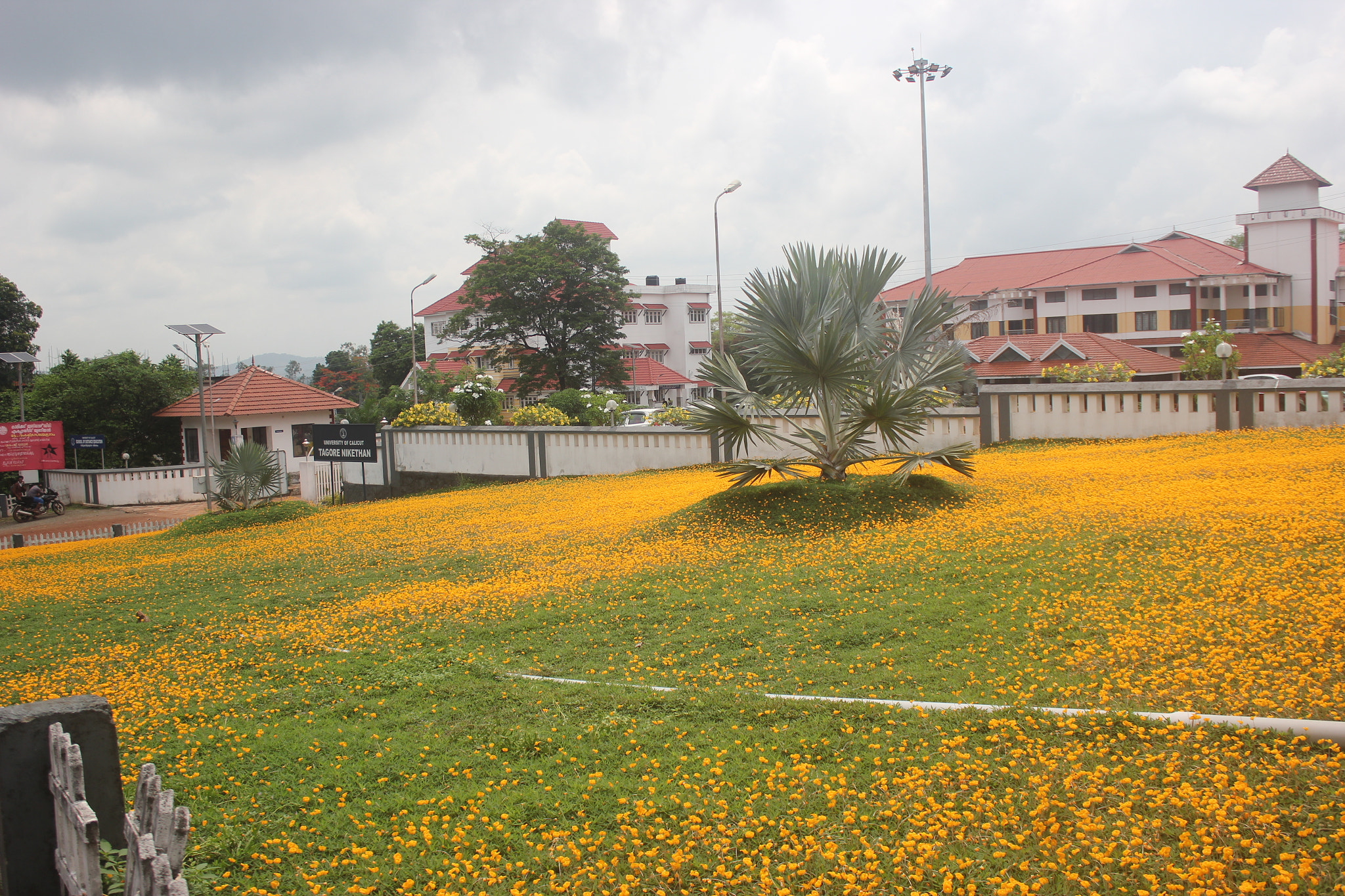 Canon EOS 550D (EOS Rebel T2i / EOS Kiss X4) sample photo. Calicut university premises photography