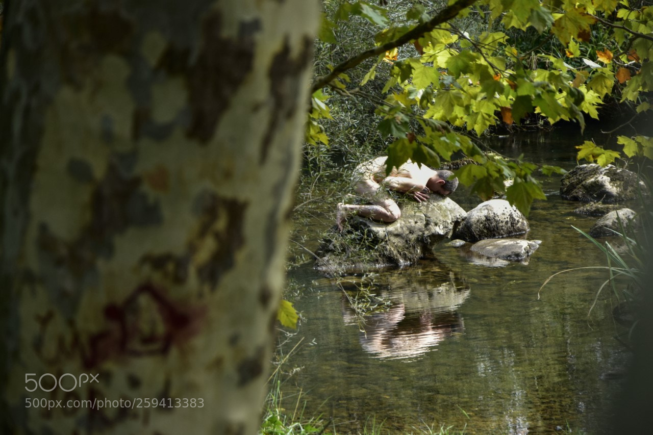 Nikon D7200 sample photo. Pintura photography