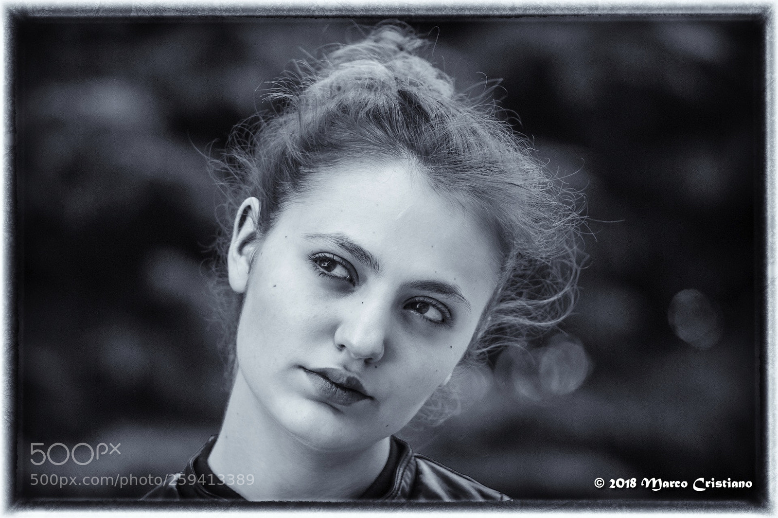 Nikon D700 sample photo. Scilla.. photography