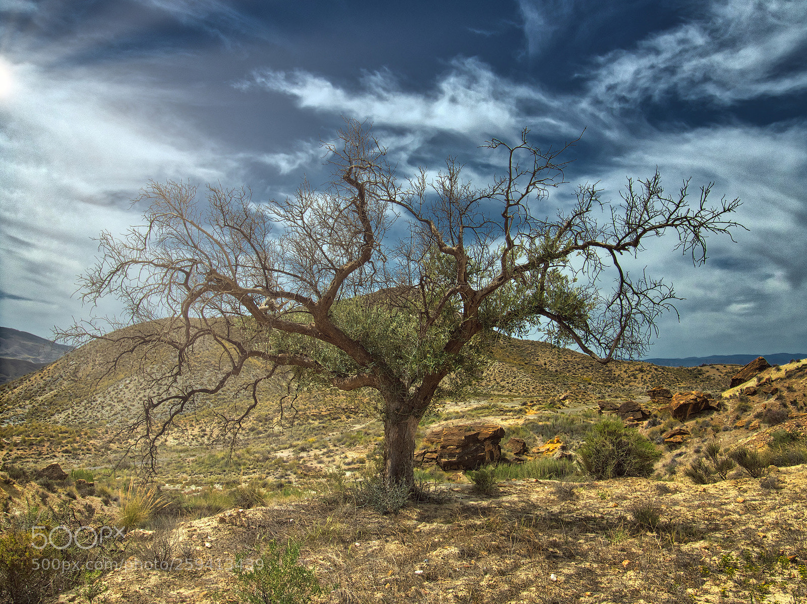 Olympus OM-D E-M5 II sample photo. Bajo el sol photography