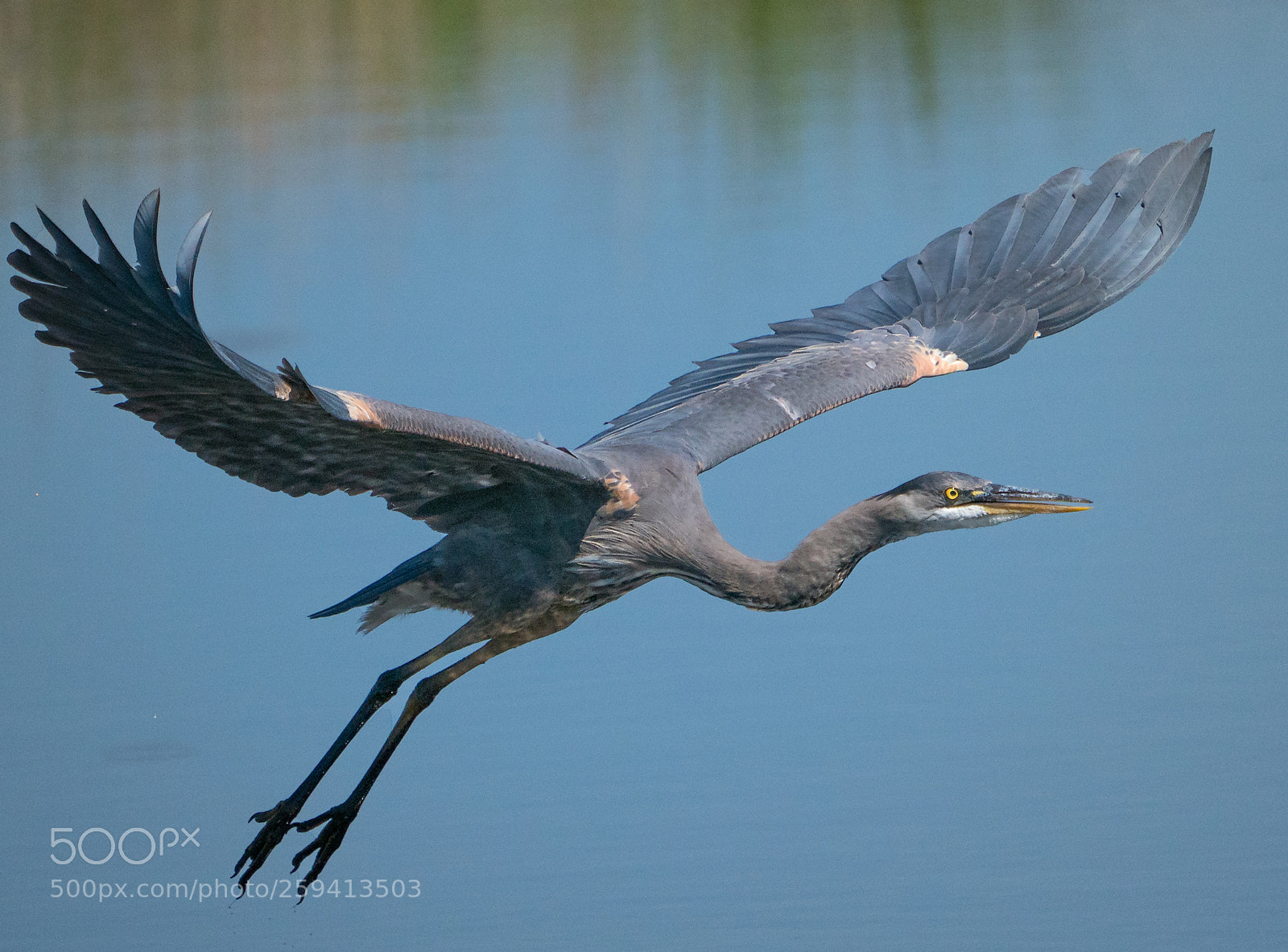 Sony a9 sample photo. Cleared for takeofff photography