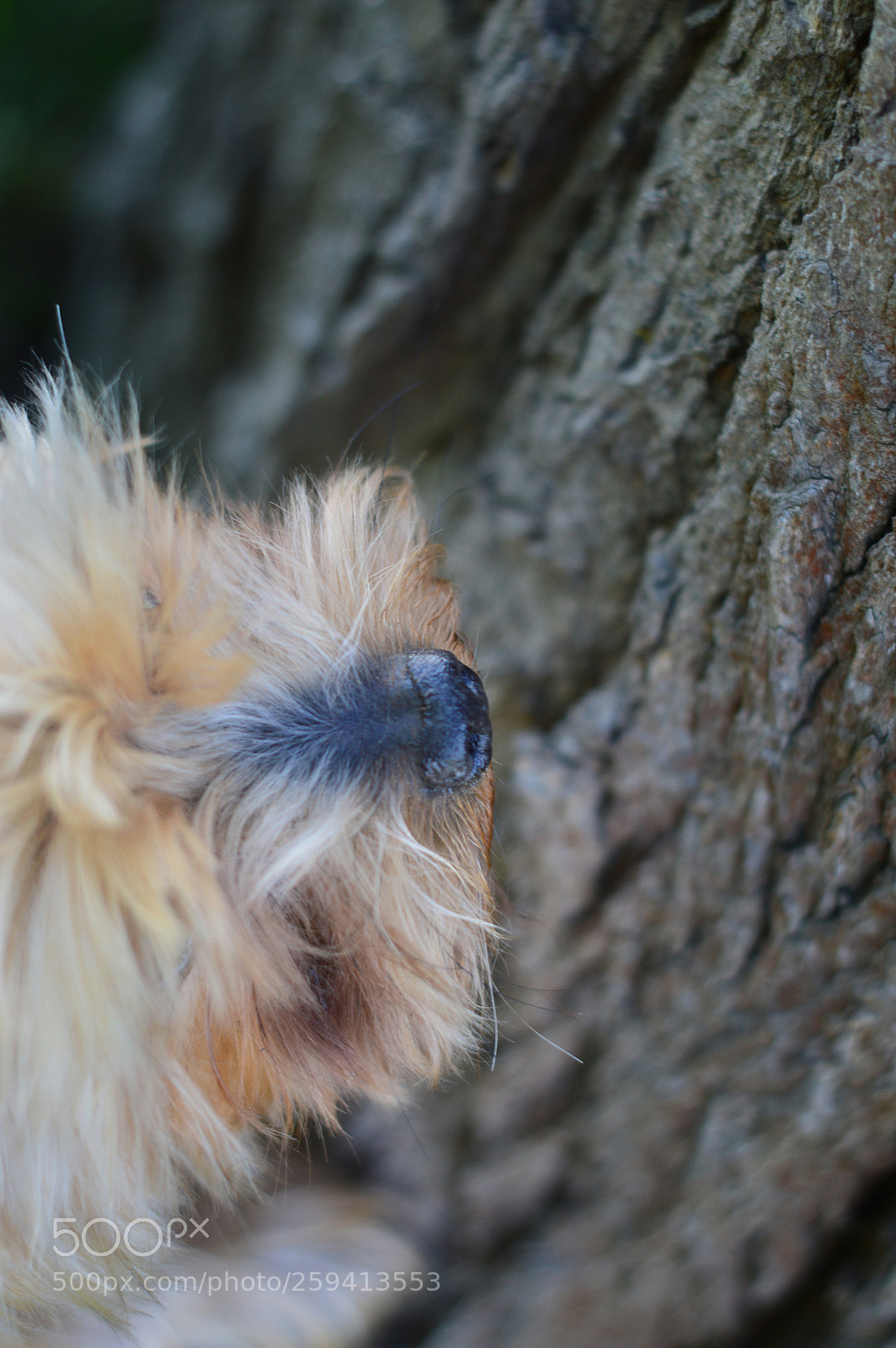 Nikon D3200 sample photo. Untitled photography