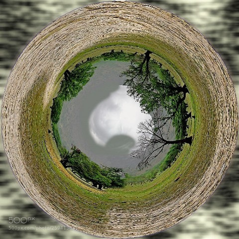Canon EOS 7D sample photo. Trees through sky photography