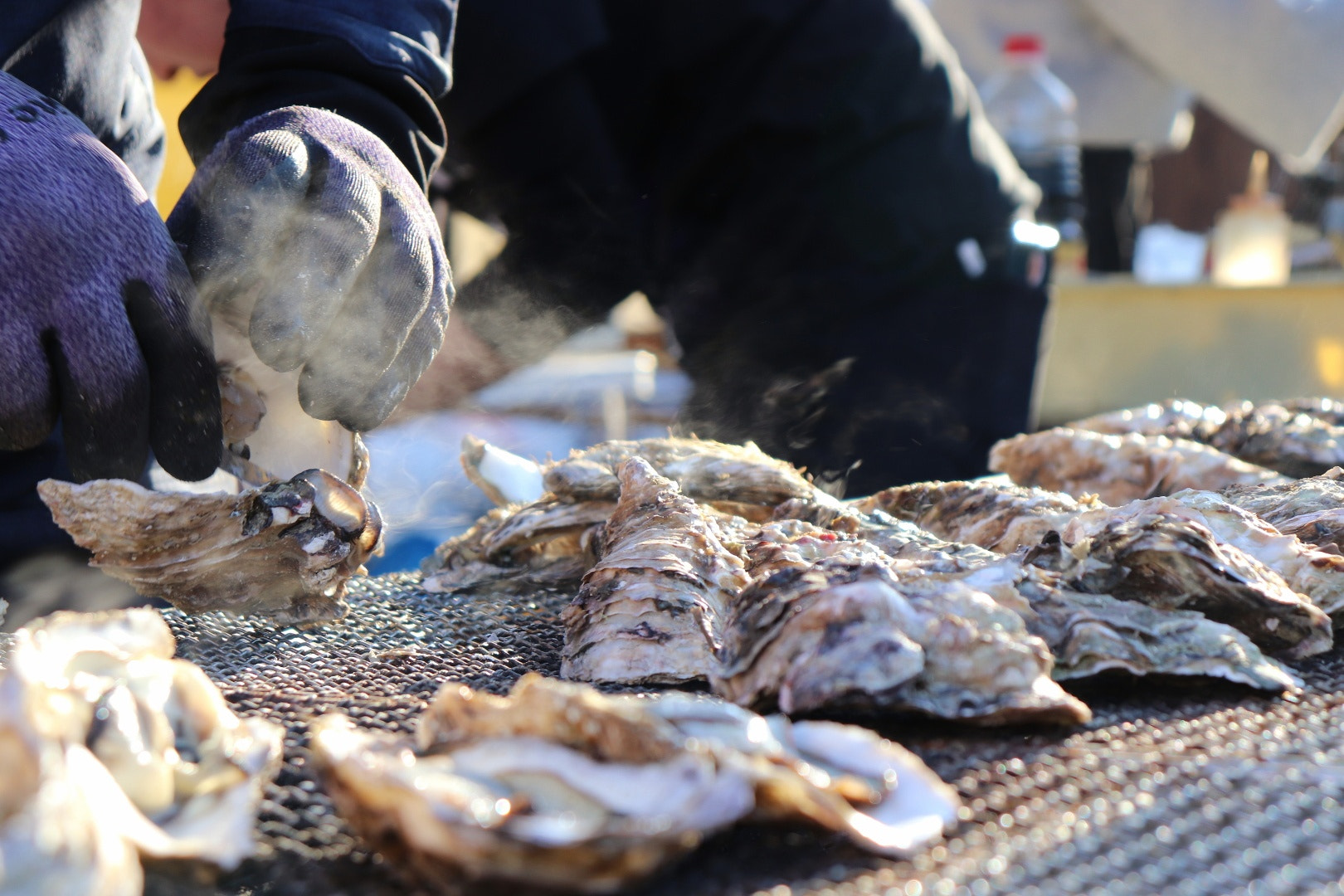 Canon EOS 200D (EOS Rebel SL2 / EOS Kiss X9) sample photo. A street vendor shucks oysters photography