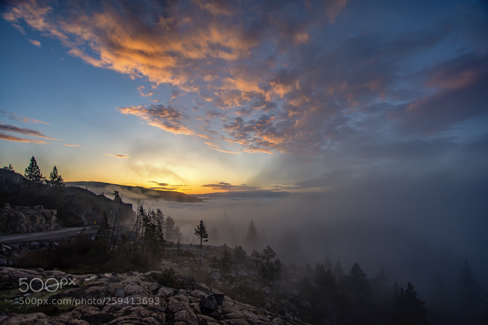 Nikon D7200 sample photo. Fog at donner summit photography