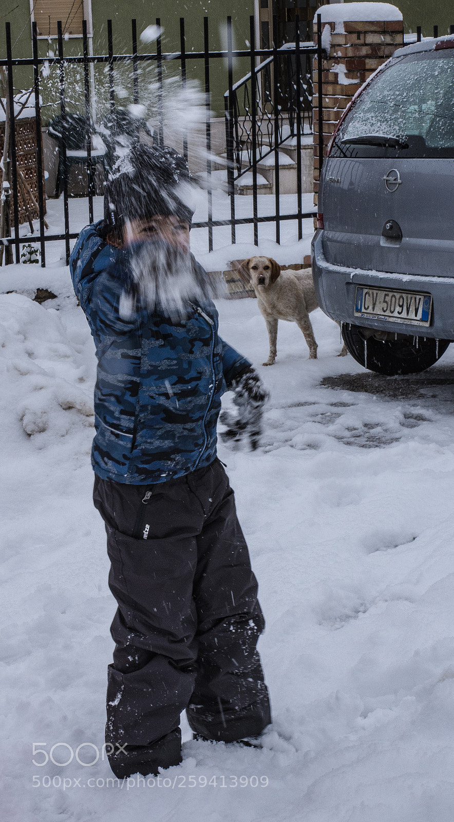 Nikon D7200 sample photo. Untitled photography