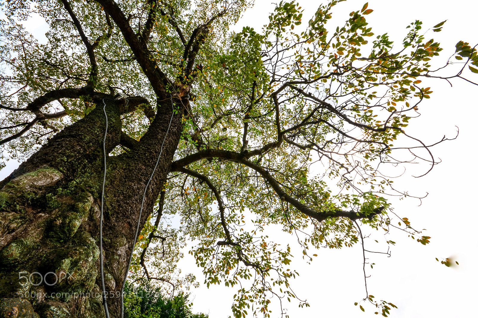 Nikon D7100 sample photo. Untitled photography