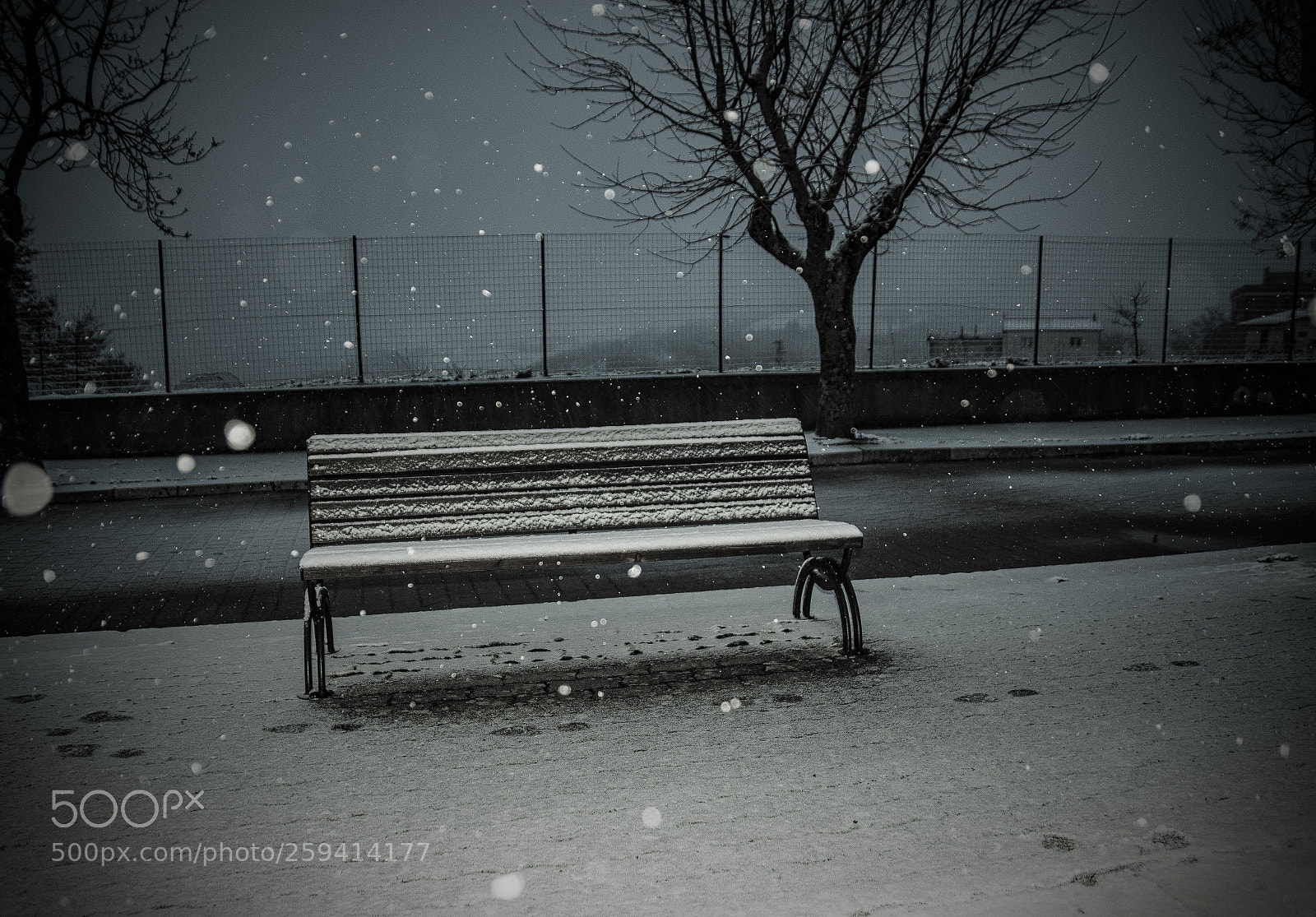 Nikon D7200 sample photo. Untitled photography