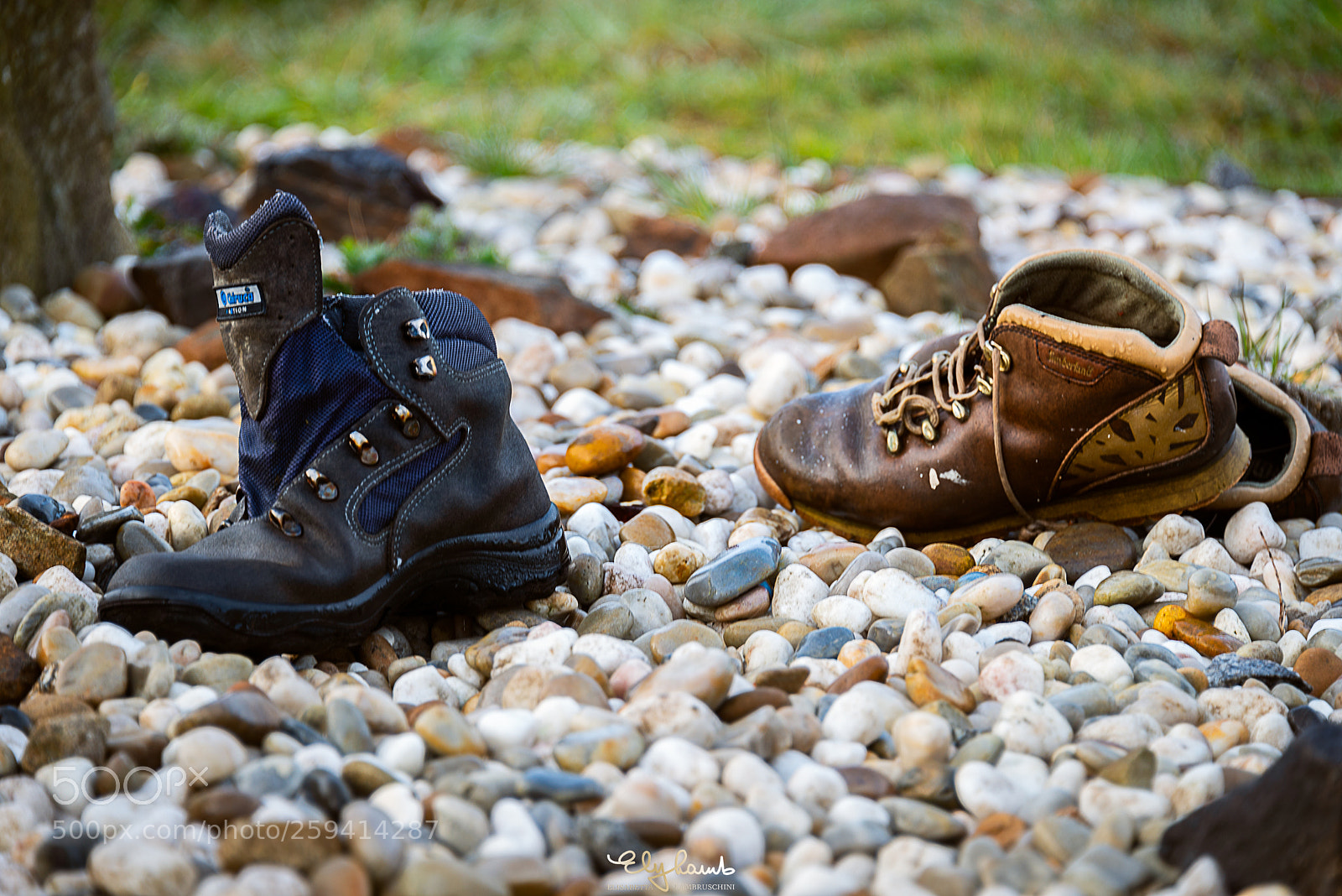 Nikon D800 sample photo. Traguardo... photography