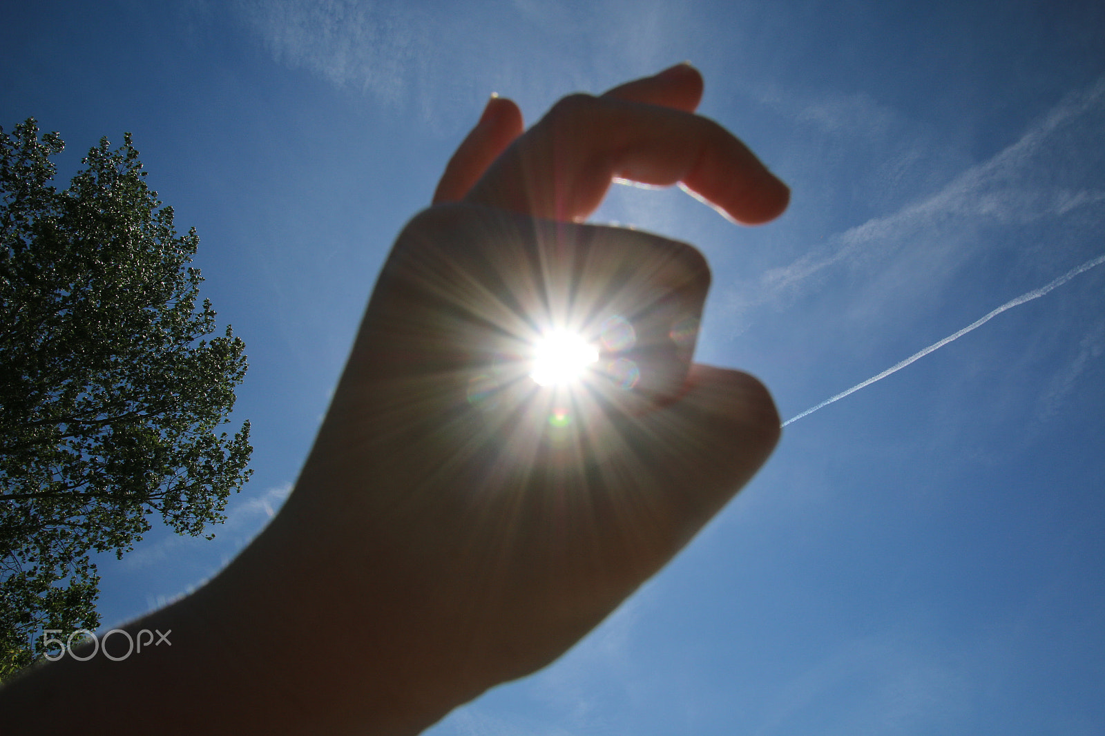 Canon EOS 70D sample photo. Sun catcher photography