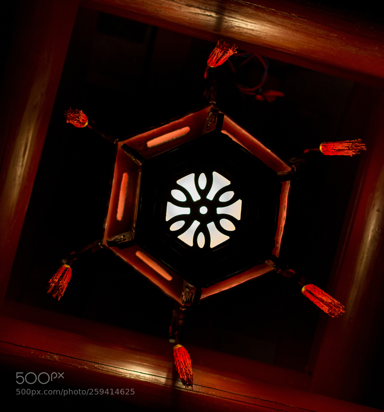 Nikon D7200 sample photo. Red photography