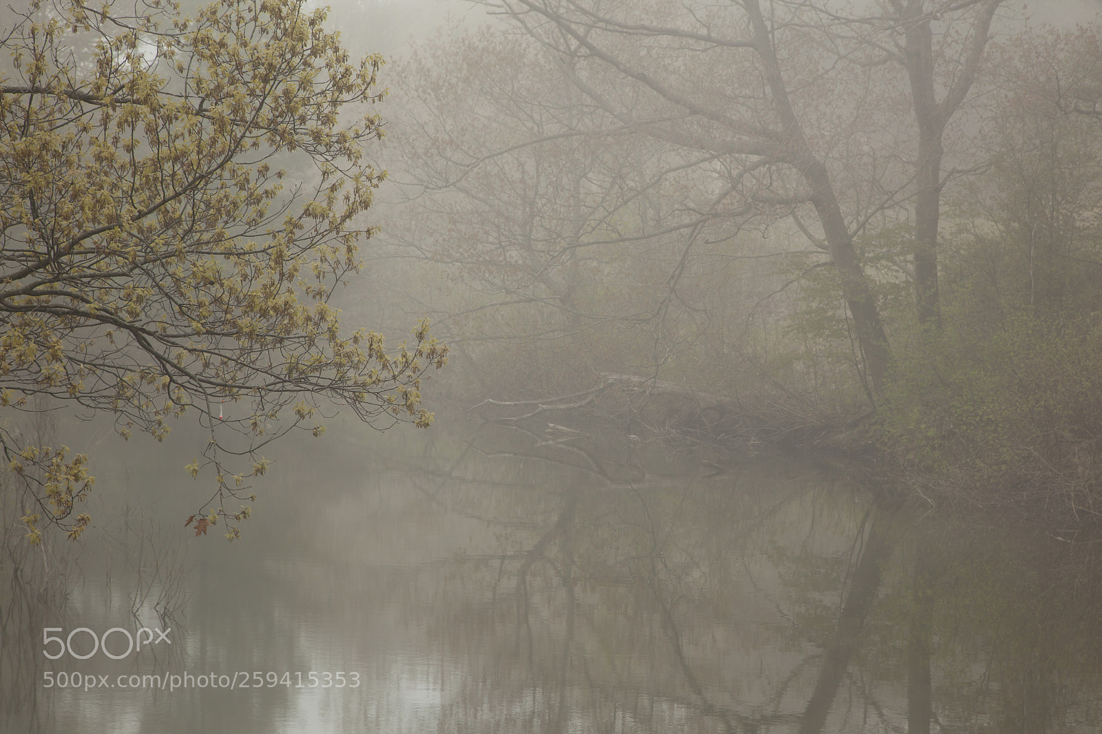 Canon EOS 5D Mark II sample photo. Foggy spring morning over photography