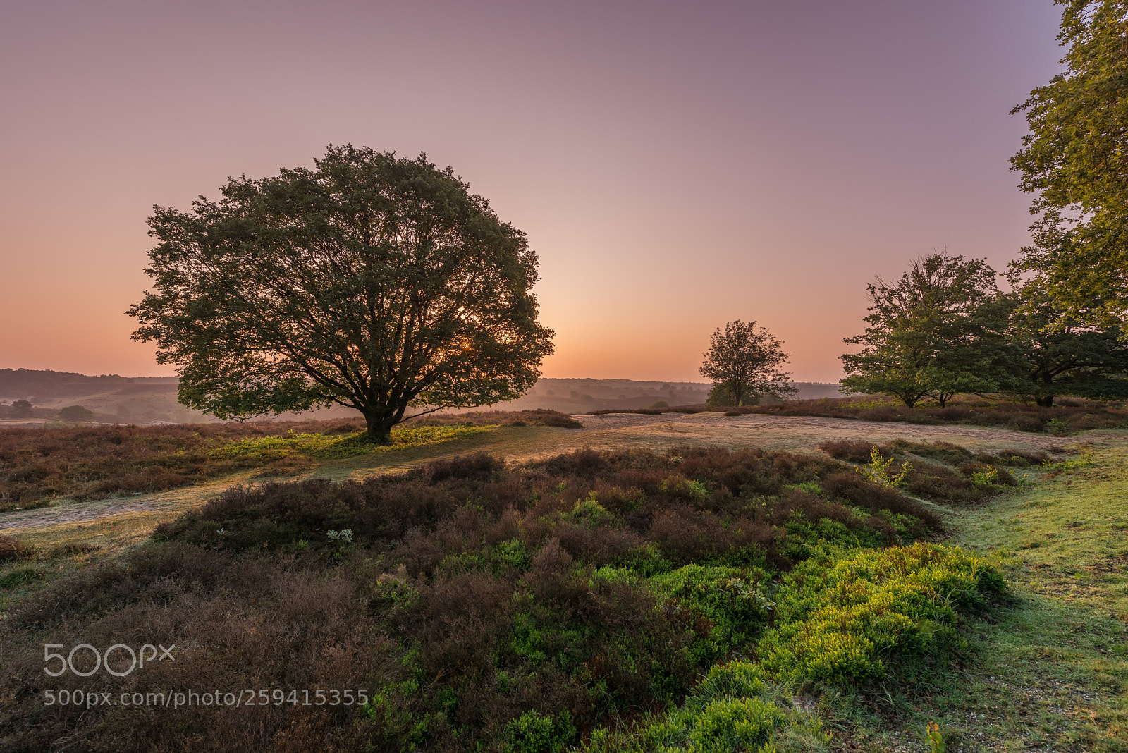 Nikon D810 sample photo. As the sun rises photography