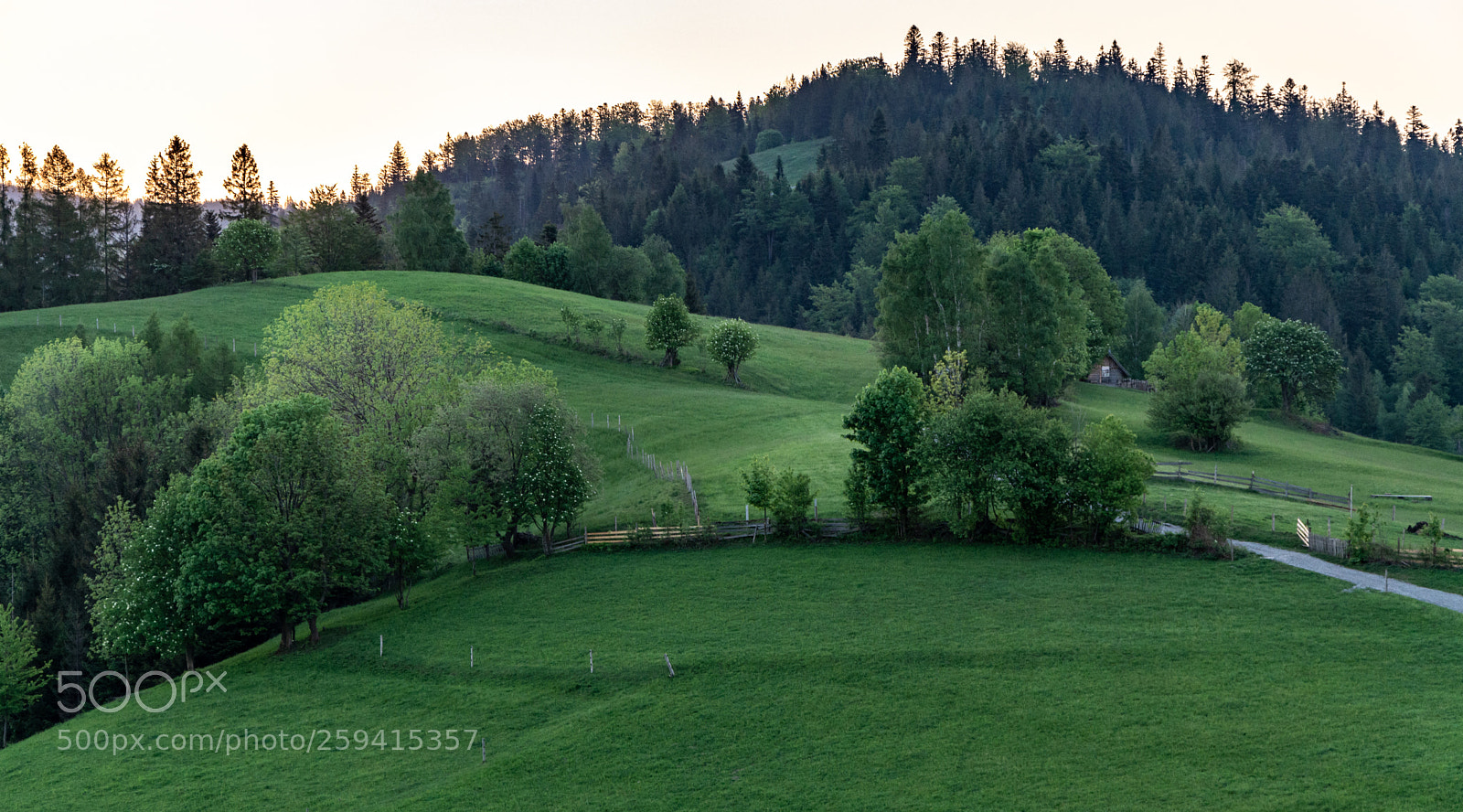 Nikon D7100 sample photo. Idyllic land photography