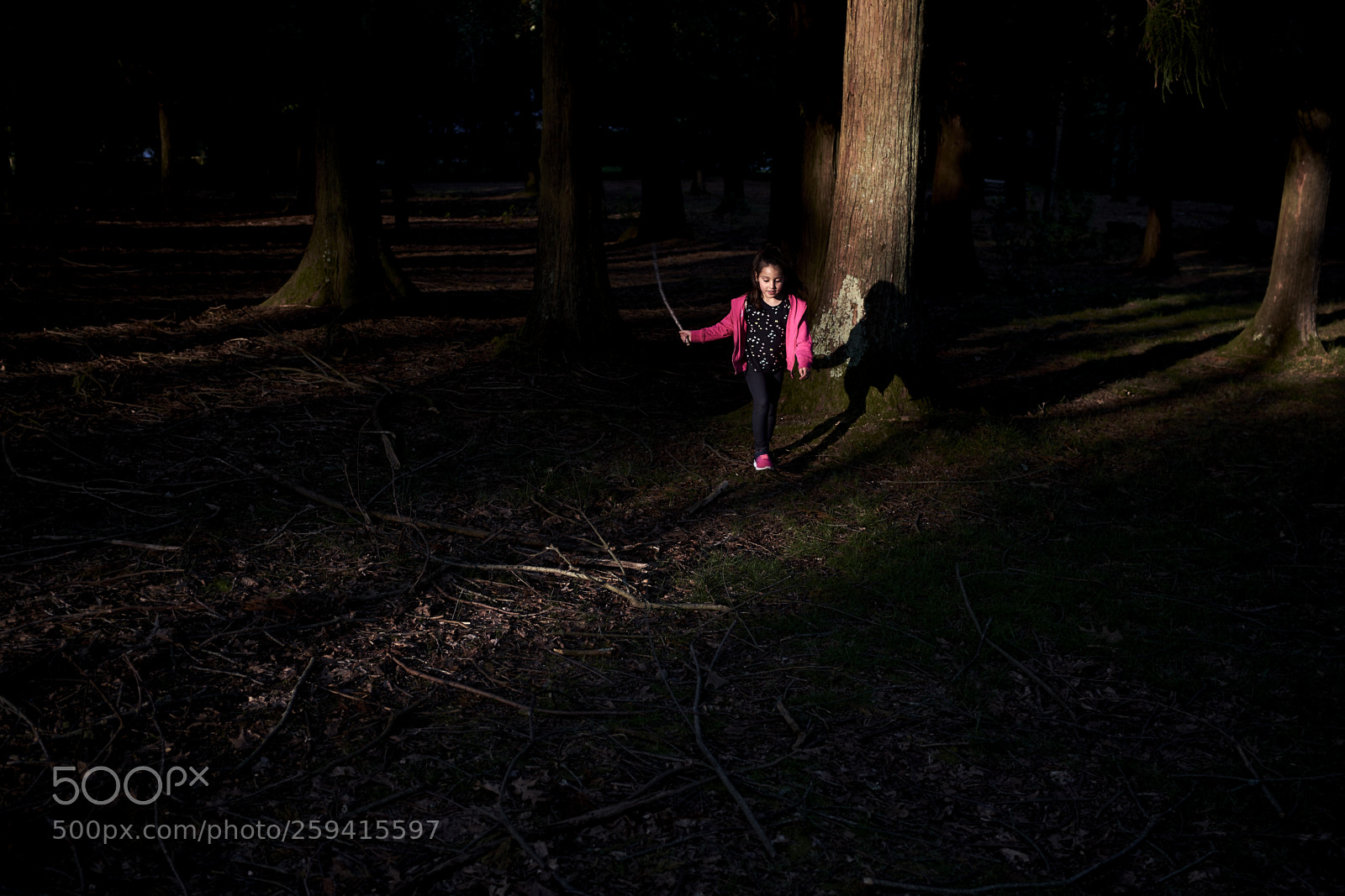 Fujifilm X100F sample photo. In to the forest photography