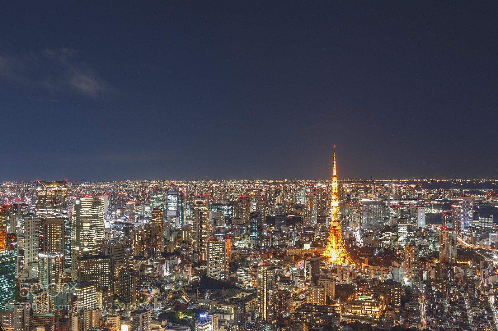 Canon EOS 70D sample photo. Tokyo skyline  photography