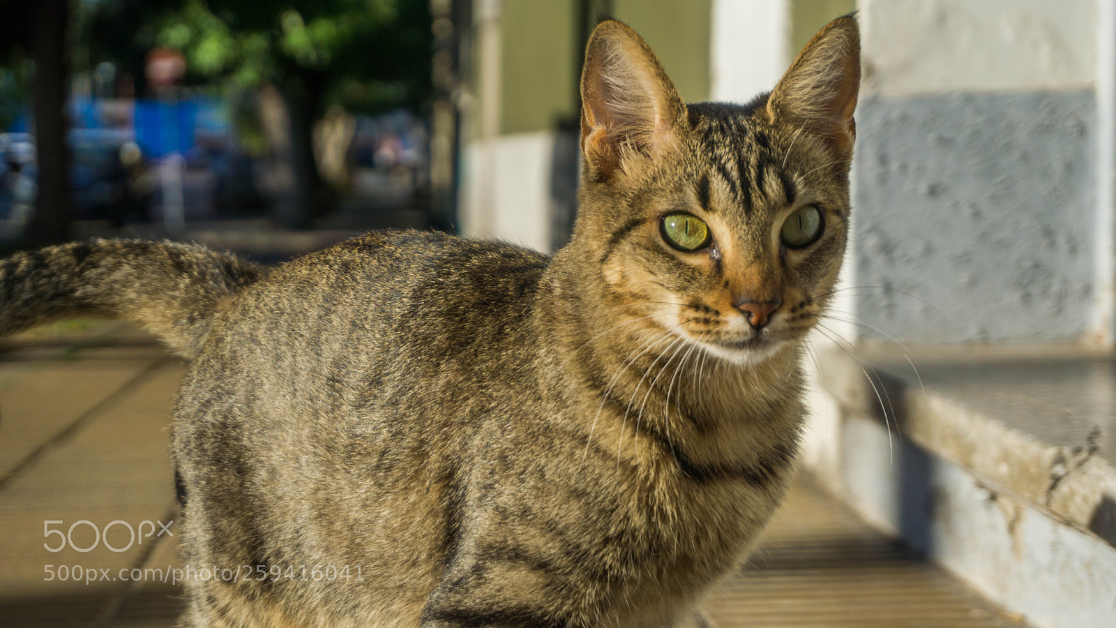 Sony a6000 sample photo. Dsc photography