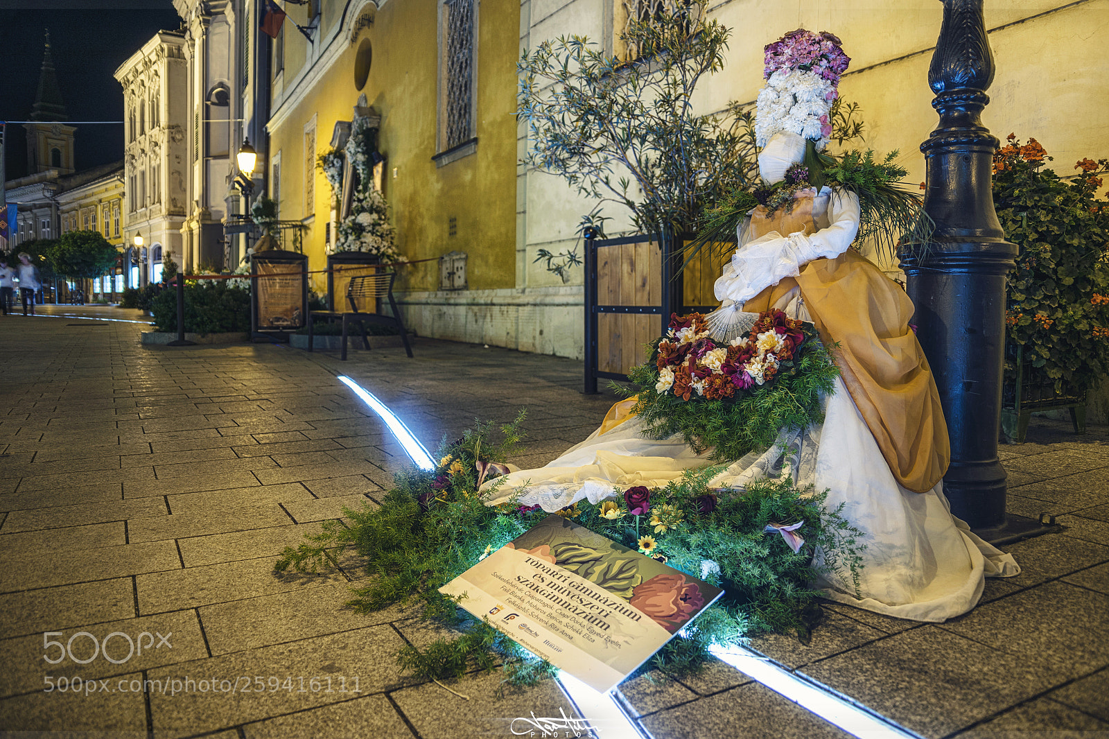 Nikon D5300 sample photo. Decoration photography