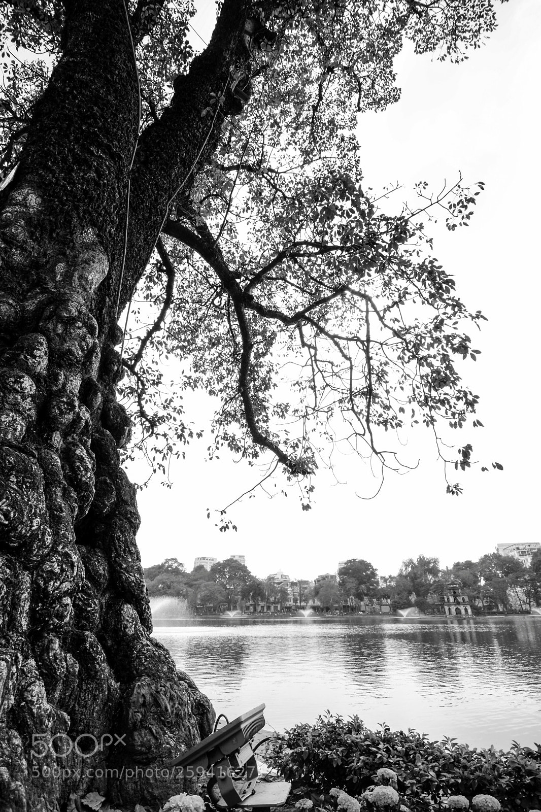 Nikon D7100 sample photo. Untitled photography