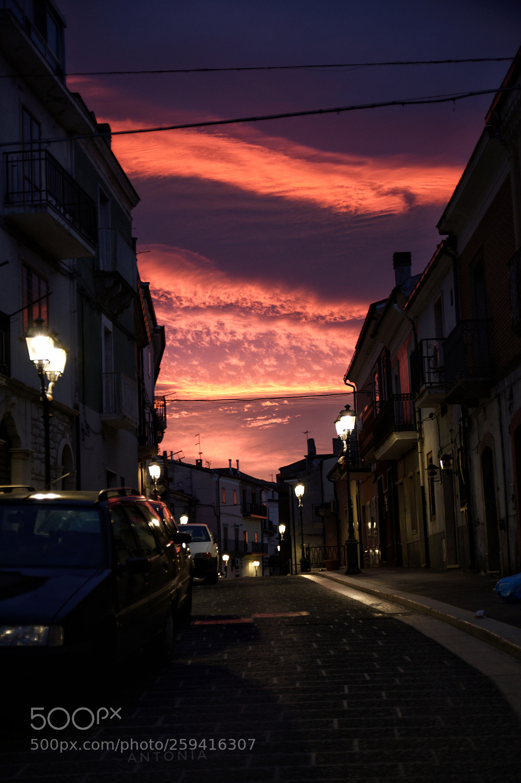 Nikon D7200 sample photo. Untitled photography