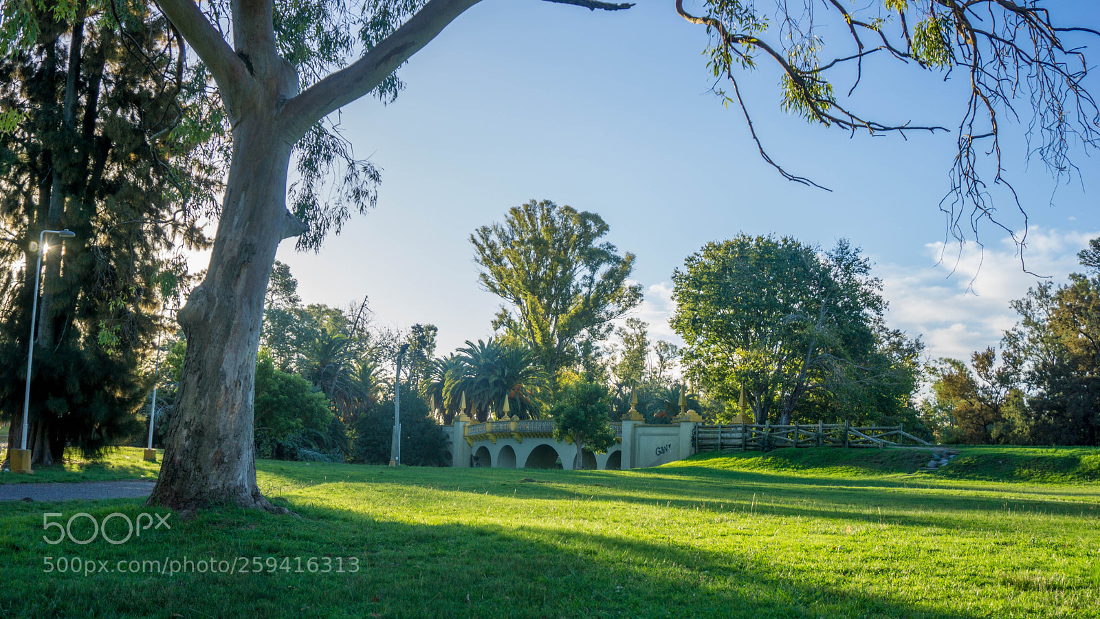 Sony a6000 sample photo. Dsc photography
