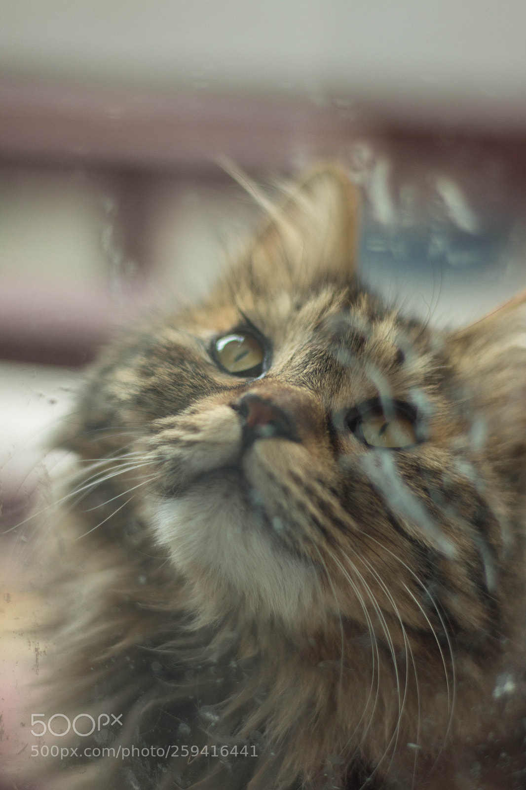 Canon EOS 70D sample photo. Untitled photography