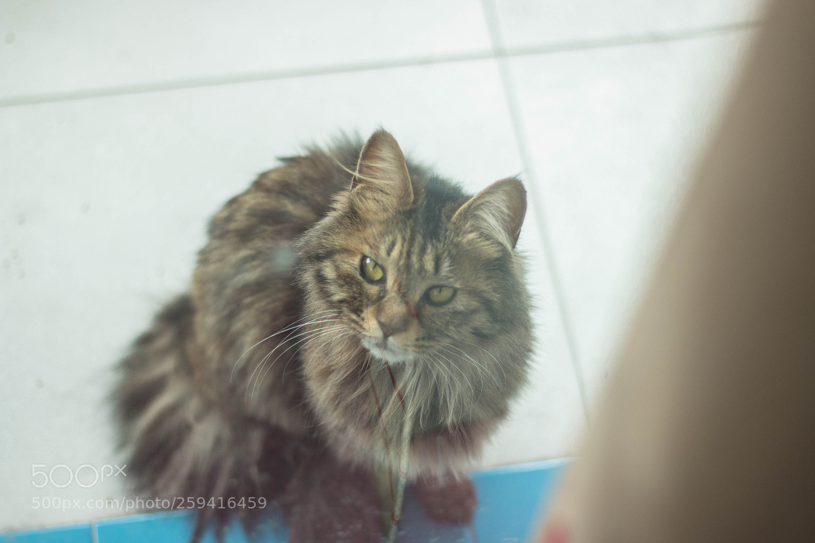 Canon EOS 70D sample photo. Untitled photography