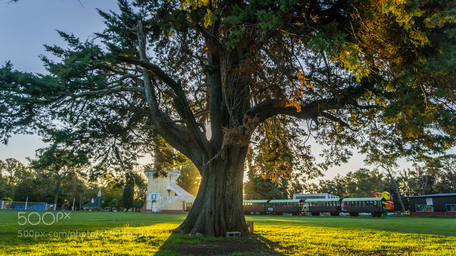 Sony a6000 sample photo. Dsc photography