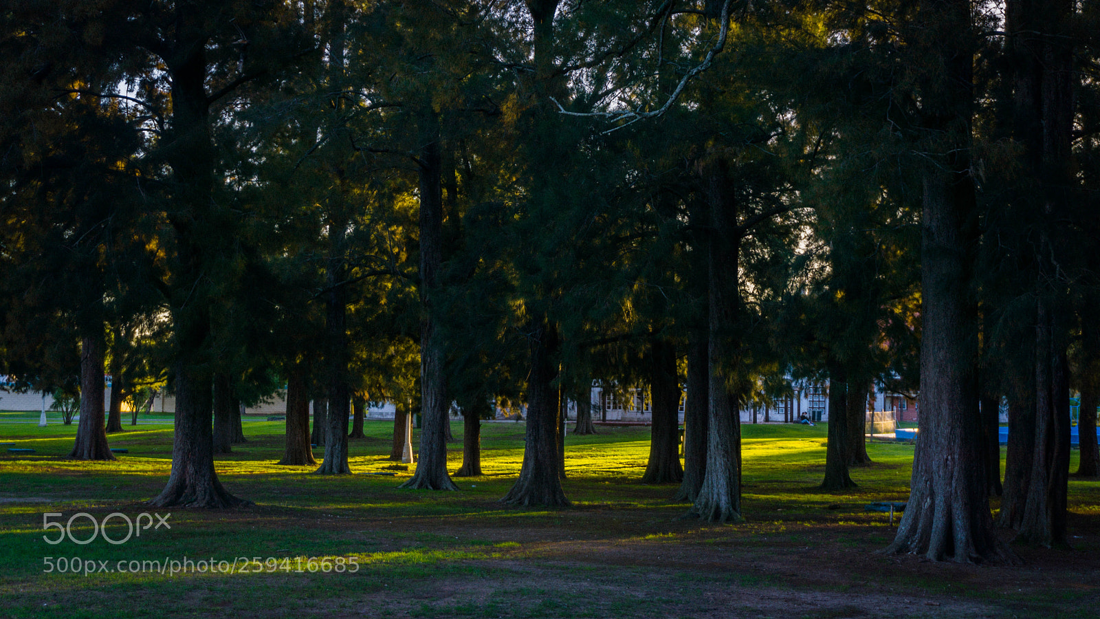 Sony a6000 sample photo. Dsc photography