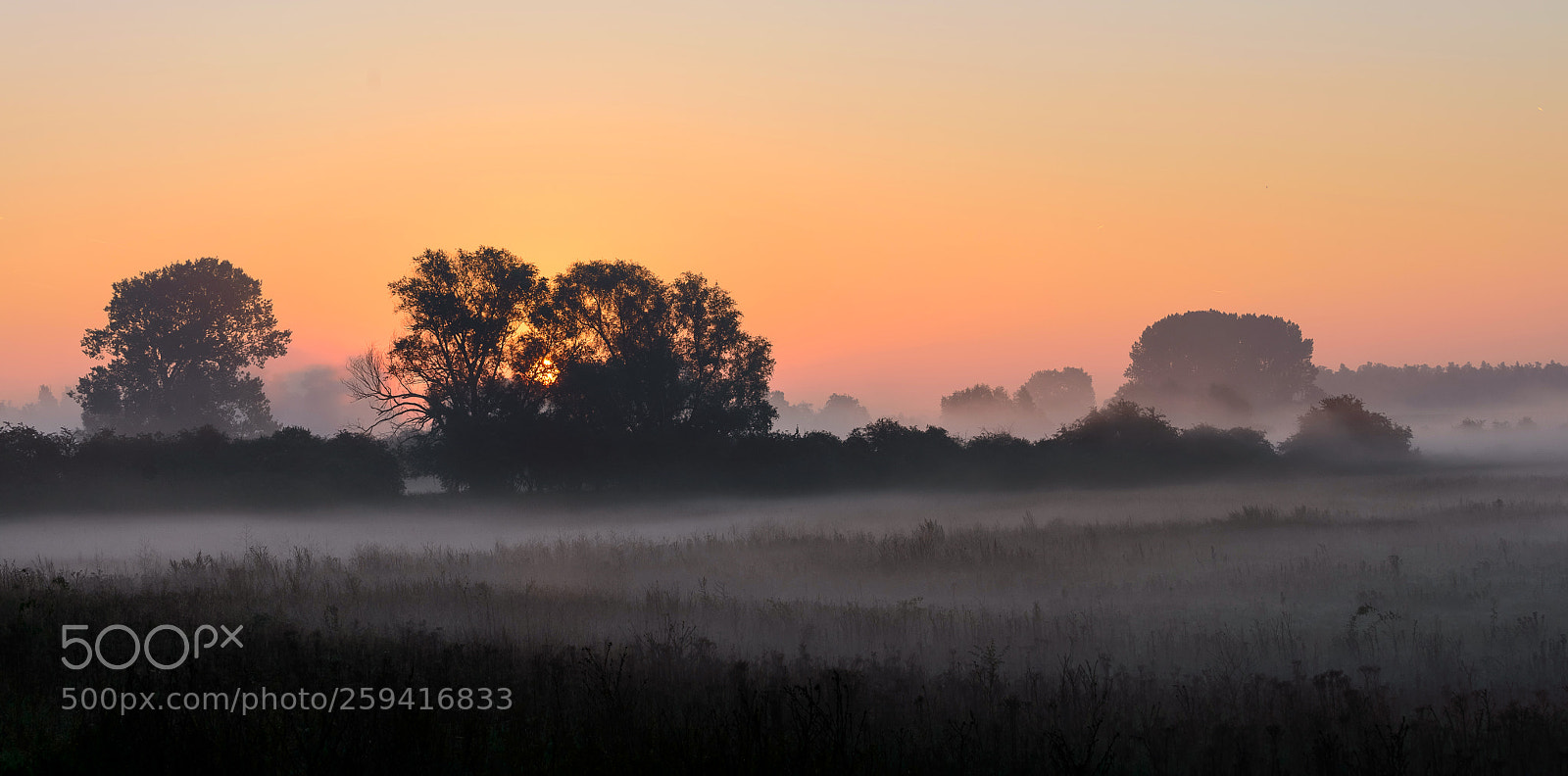 Nikon D800 sample photo. Misty morning photography