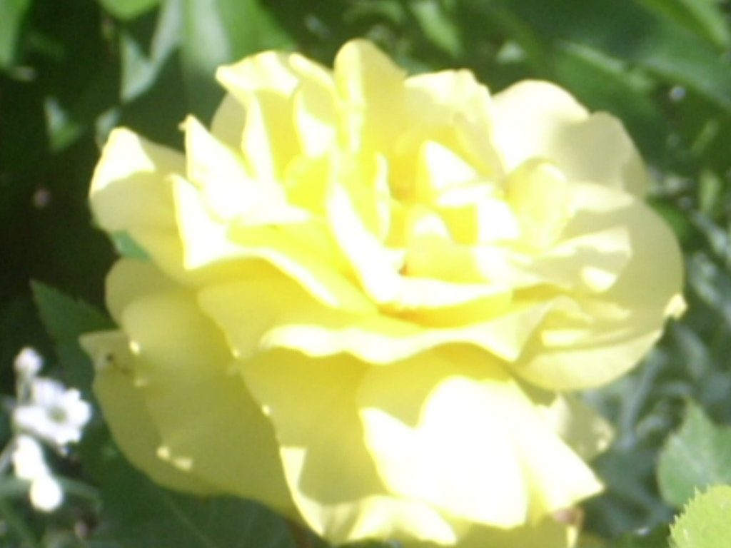 Nikon COOLPIX L10 sample photo. Rscn photography