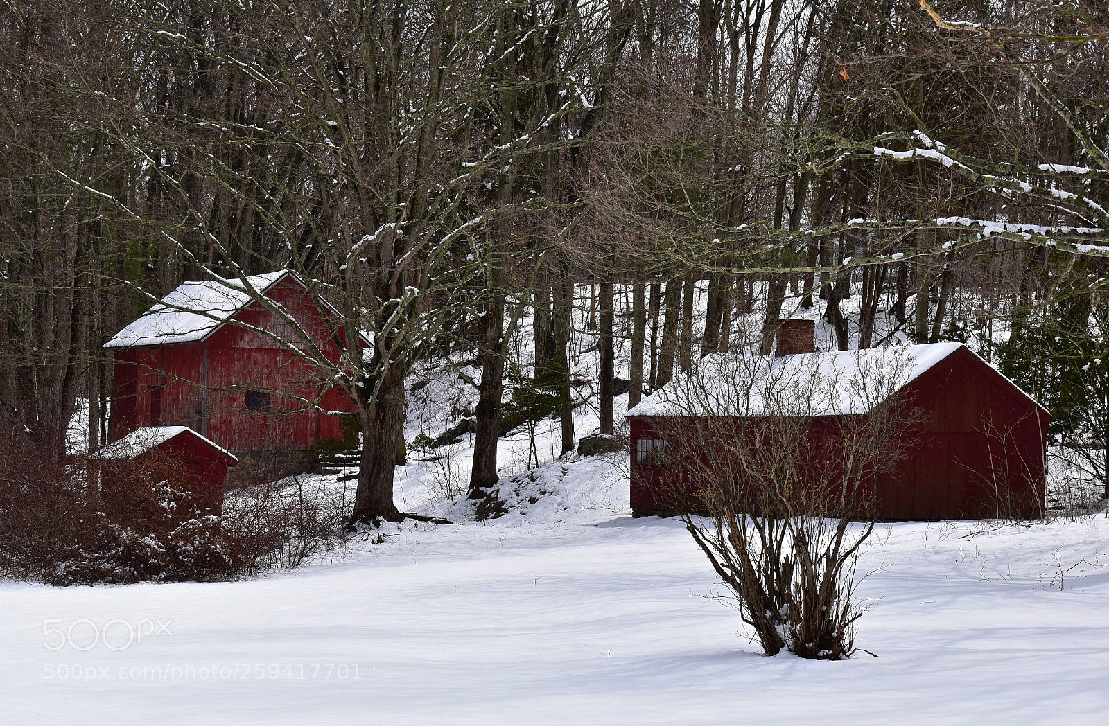 Nikon D5500 sample photo. Farm after a snow photography