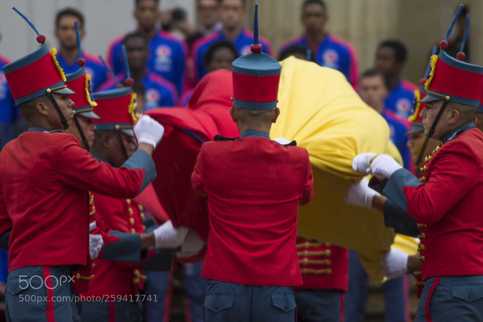 Canon EOS 600D (Rebel EOS T3i / EOS Kiss X5) sample photo. Presidential guard photography