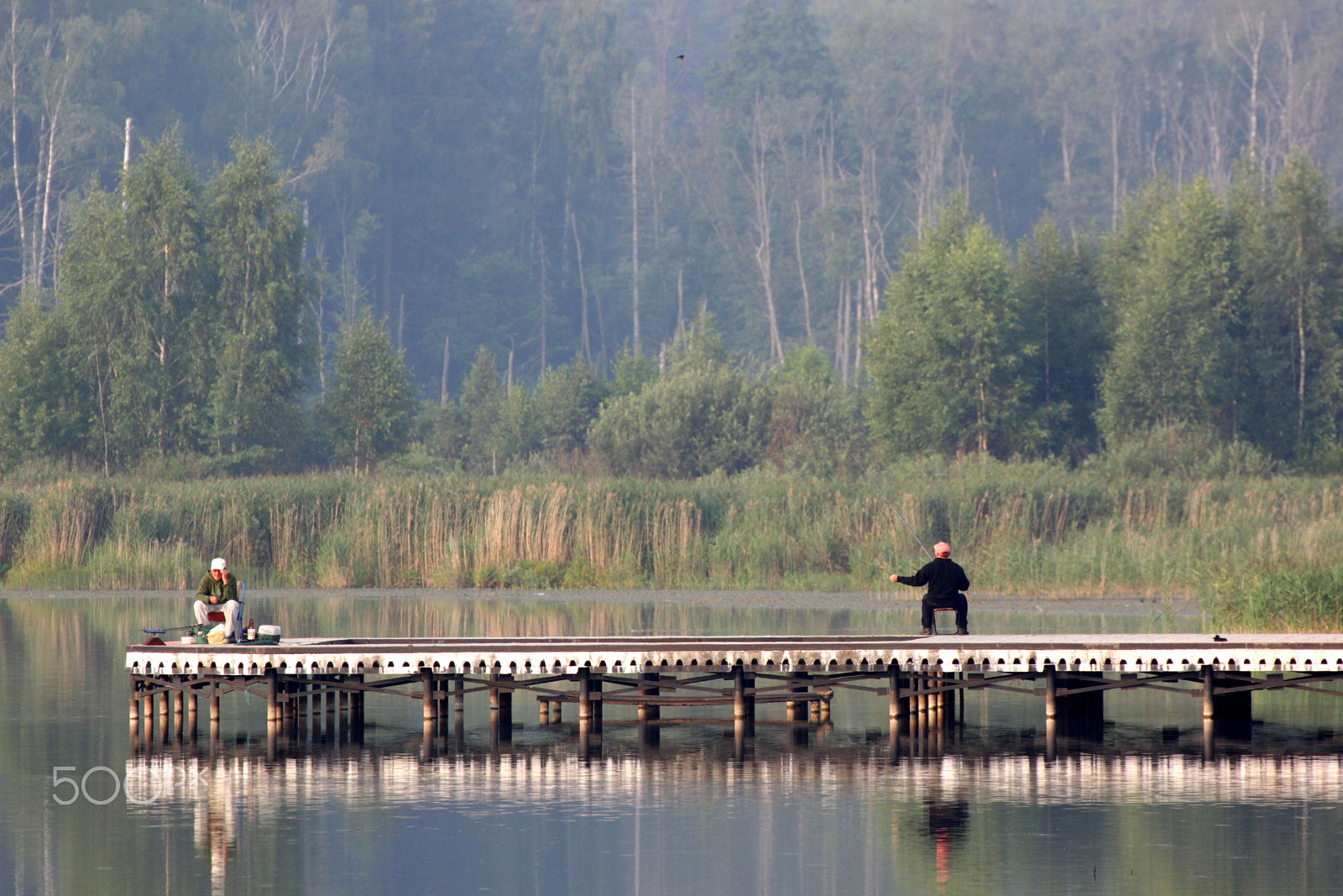 Tamron SP 35mm F1.8 Di VC USD sample photo. Morning fish photography