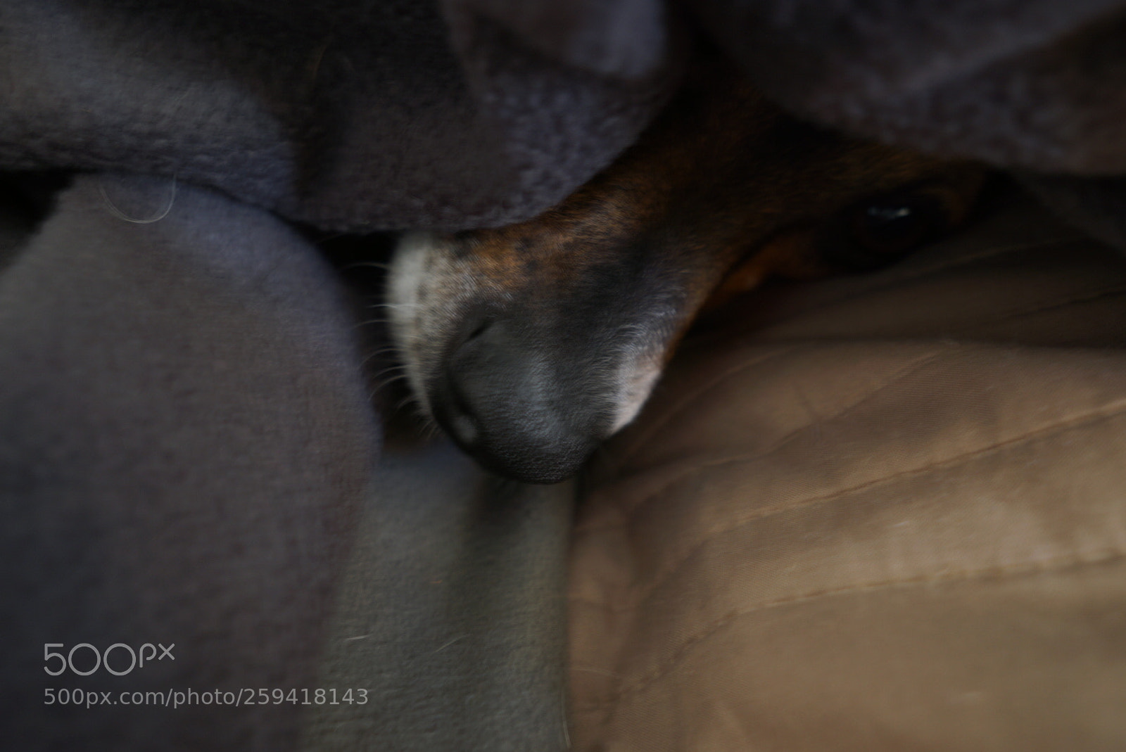 Sony a6000 sample photo. Hiding photography