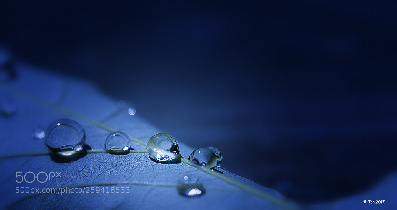 Canon EOS 40D sample photo. Droplets in blue photography