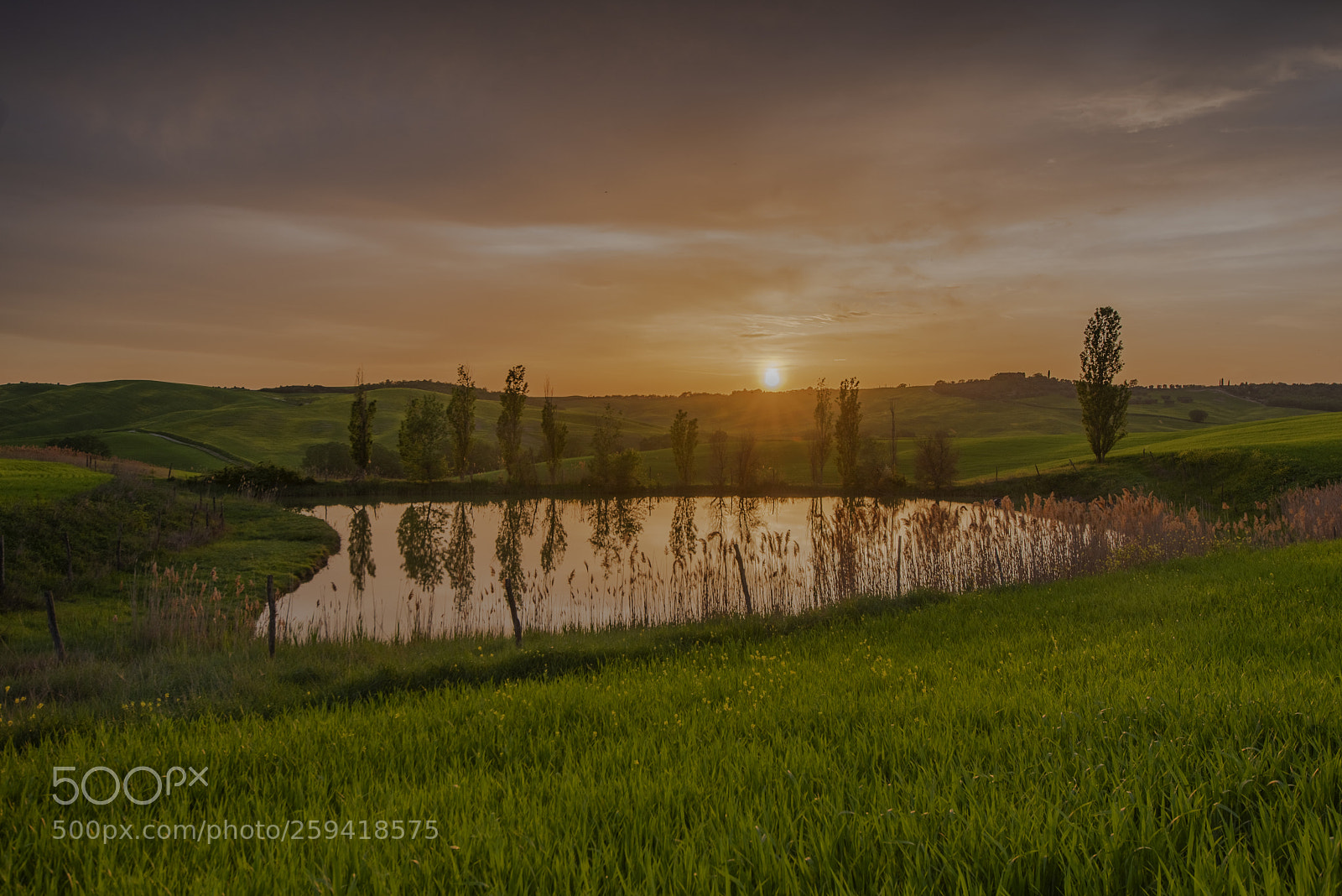 Nikon D750 sample photo. The last light photography