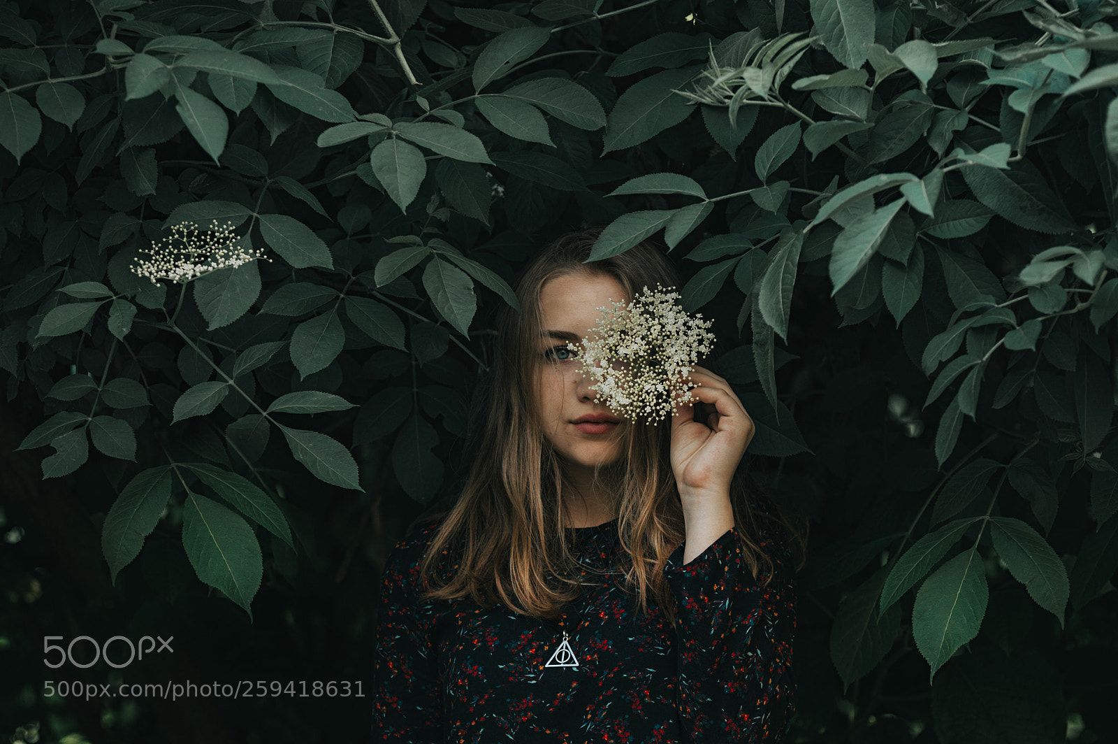 Nikon D3200 sample photo. Elderflower photography